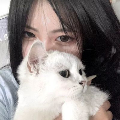 勇者之心手游下载